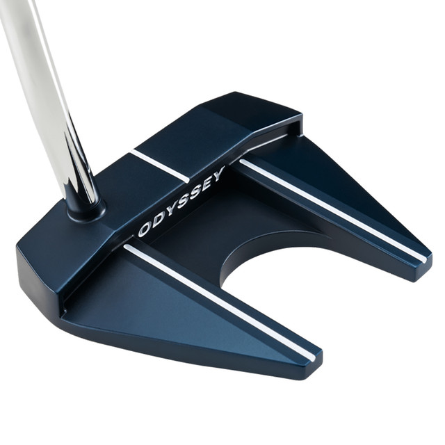 Odyssey 2-Ball Ten Arm Lock Putter - Carl's Golfland